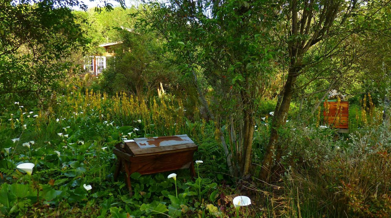 Boutique Vintage Forest Cabin 스톰스리비에르 외부 사진